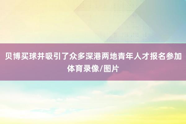 贝博买球并吸引了众多深港两地青年人才报名参加体育录像/图片