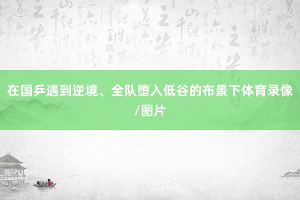 在国乒遇到逆境、全队堕入低谷的布景下体育录像/图片